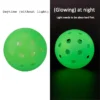 Indoor and Outdoor Pickleball Balls for Clubs, Schools, Parks & Bulk Programs